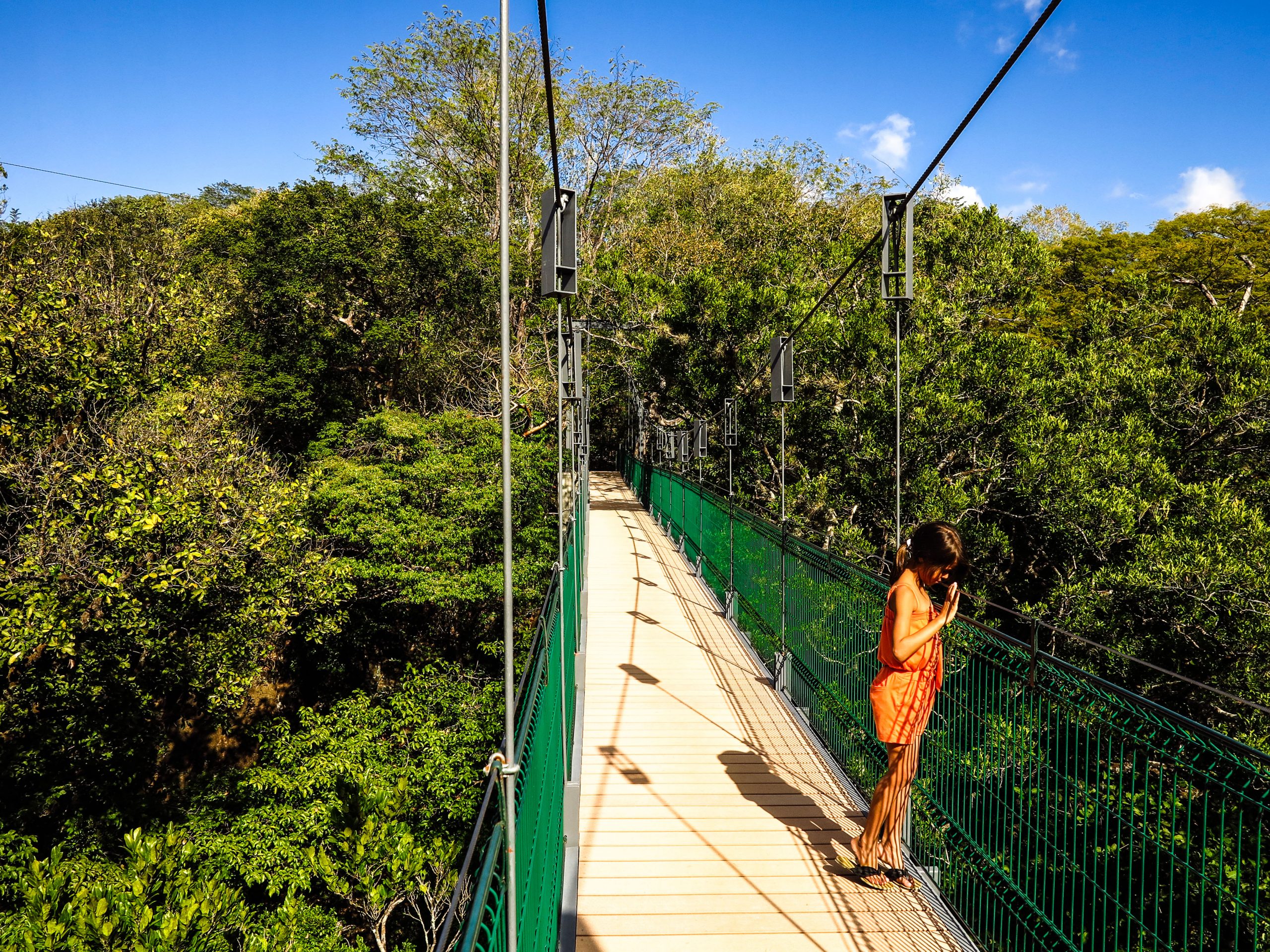 Costa Rica girl on hanging canopy bridge