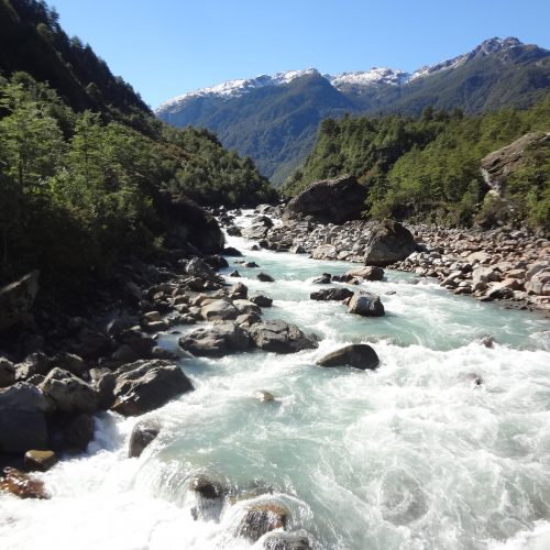 Chile Quelat National Park and river