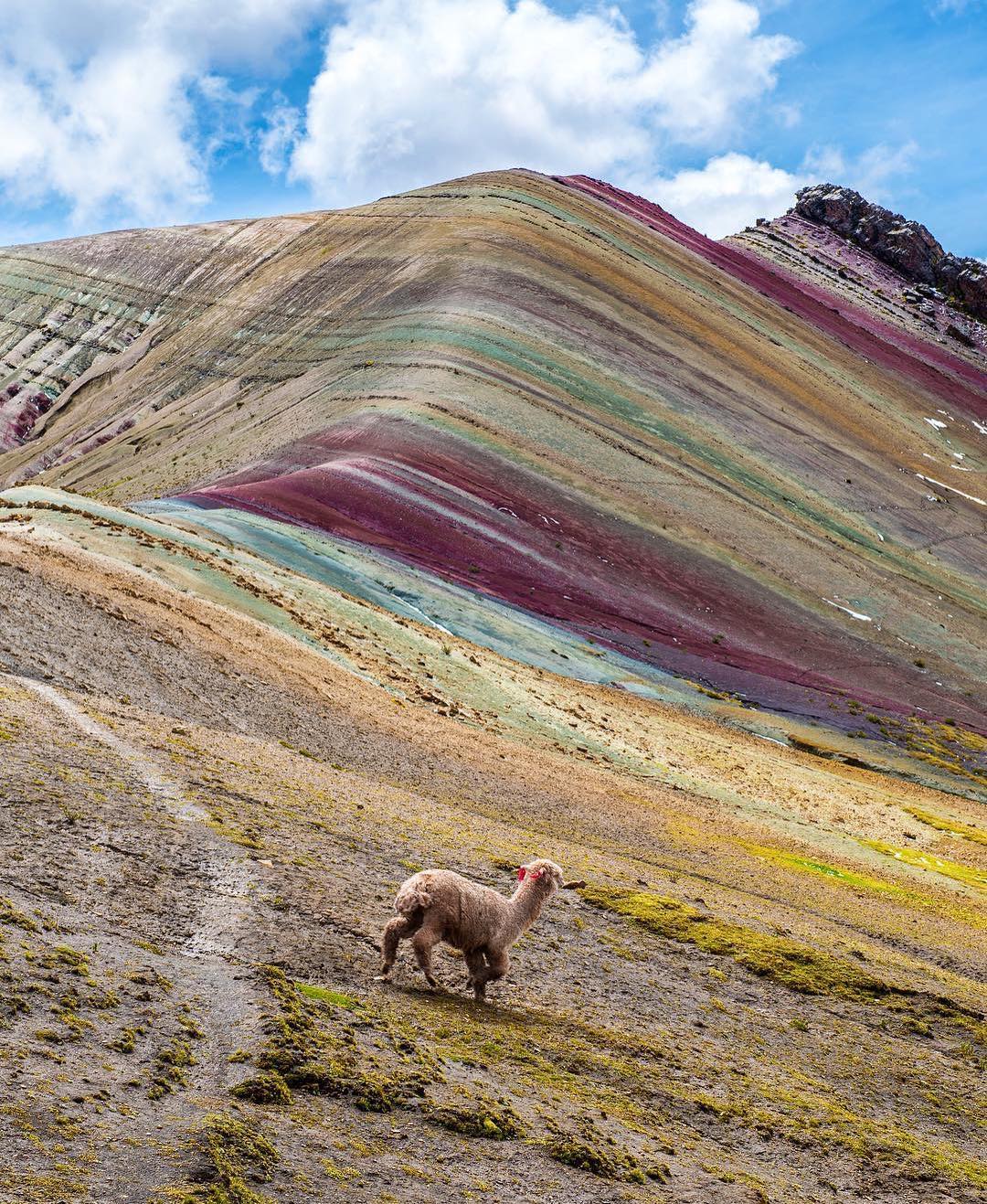 Peru Rainbow mountain and llama