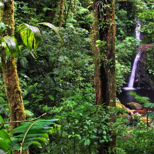 Costa Rica Monteverde cloud forest and waterfall