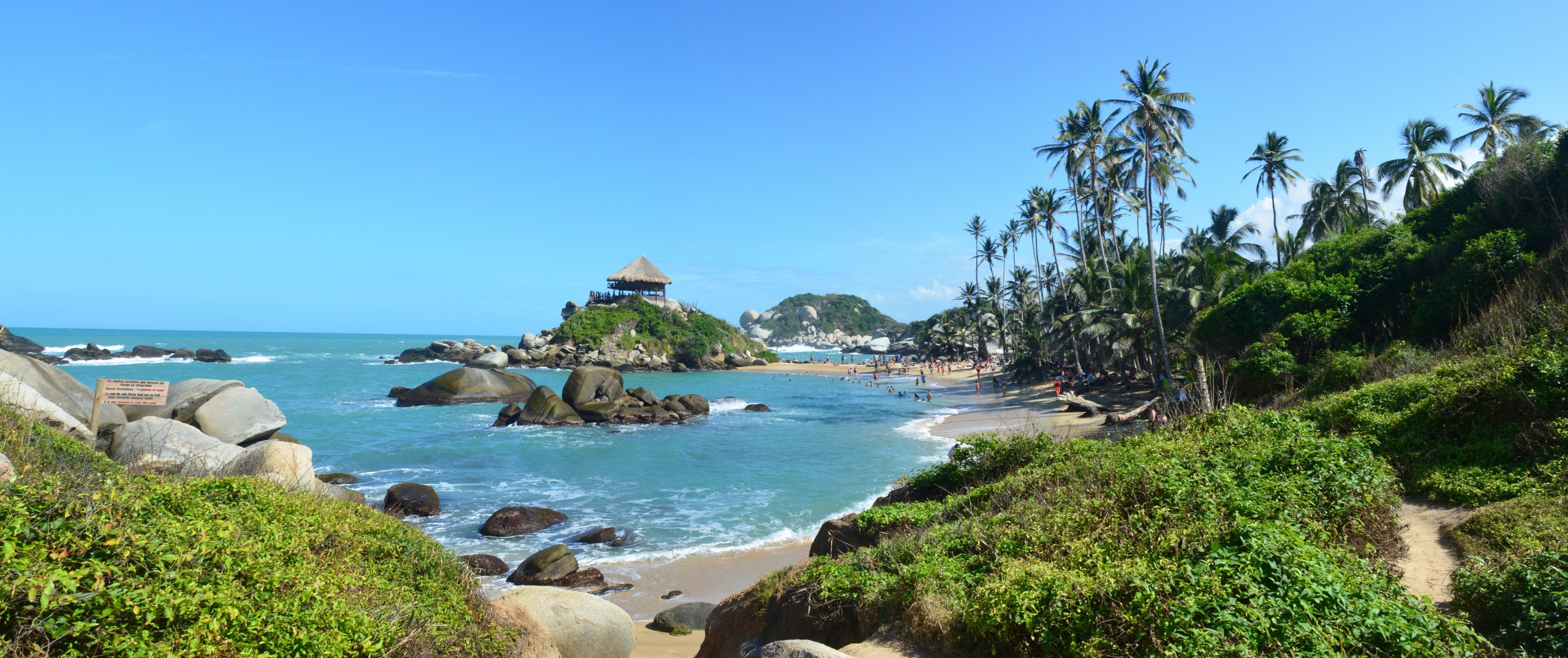 Colombia Tayrona beach and palm