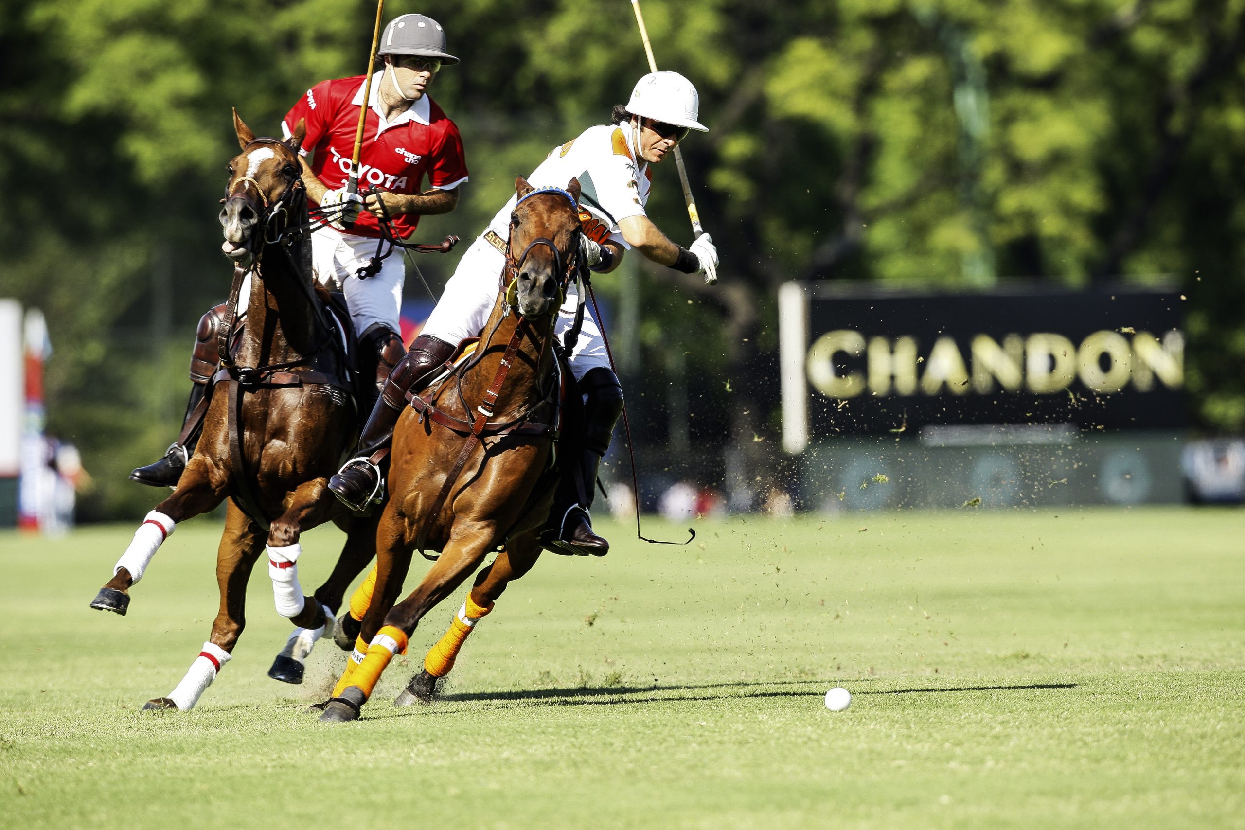 Argentina polo champs action