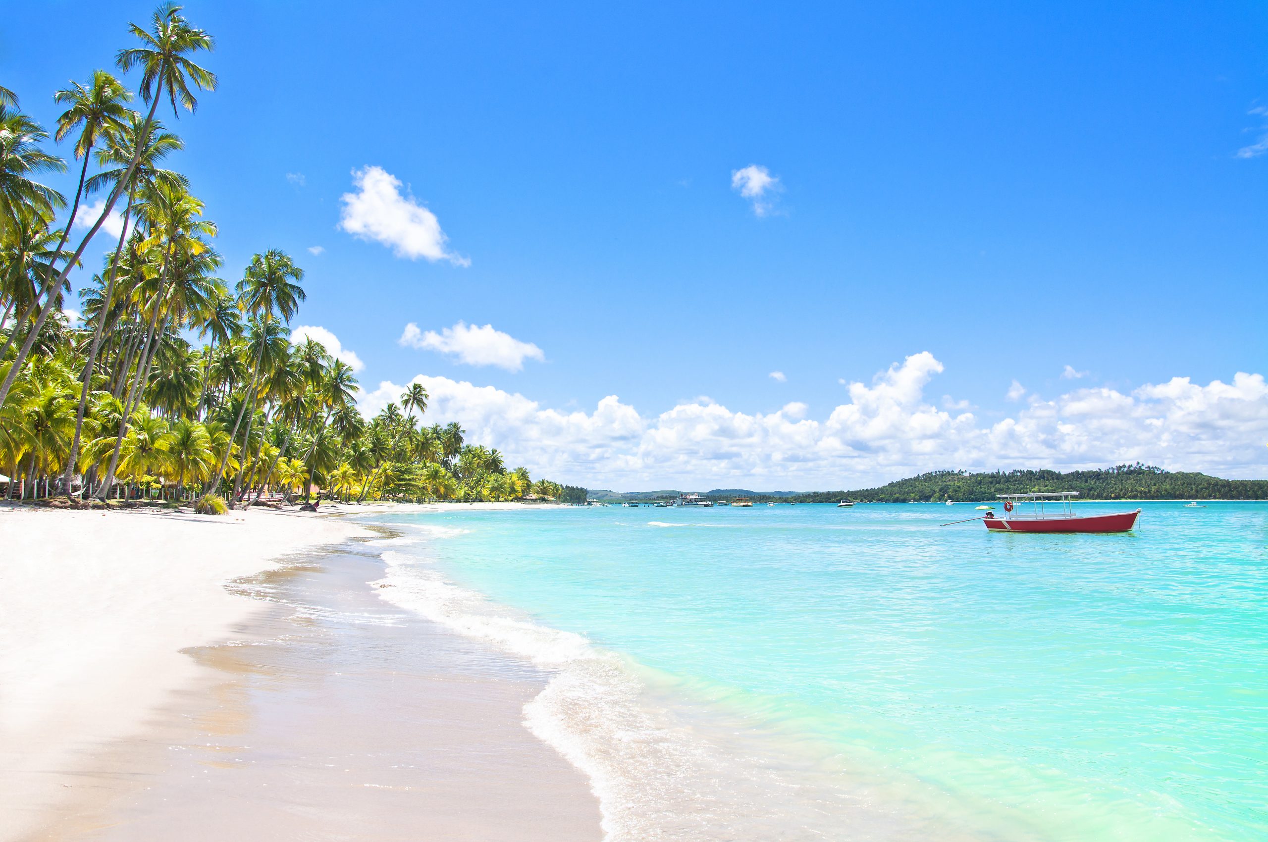 Carneiros beach Pernmbuco Brazil