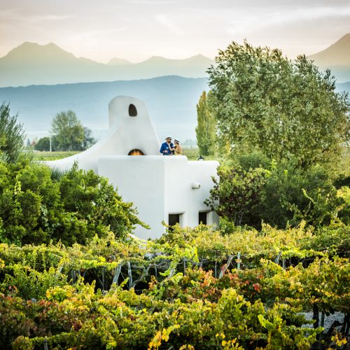 Cavas Wine Lodge Mendoza panorama