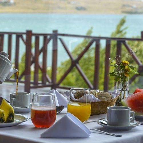 Xelena Hotel El Calafate breakfast view