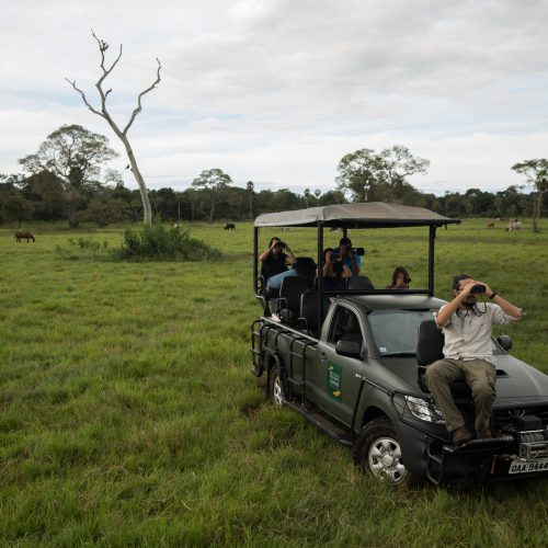 Pousada Caiman Pantanal aerial jeep safari